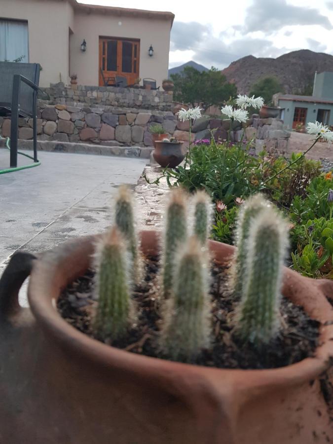 Tierra Primitiva Apartamento Tilcara Exterior foto