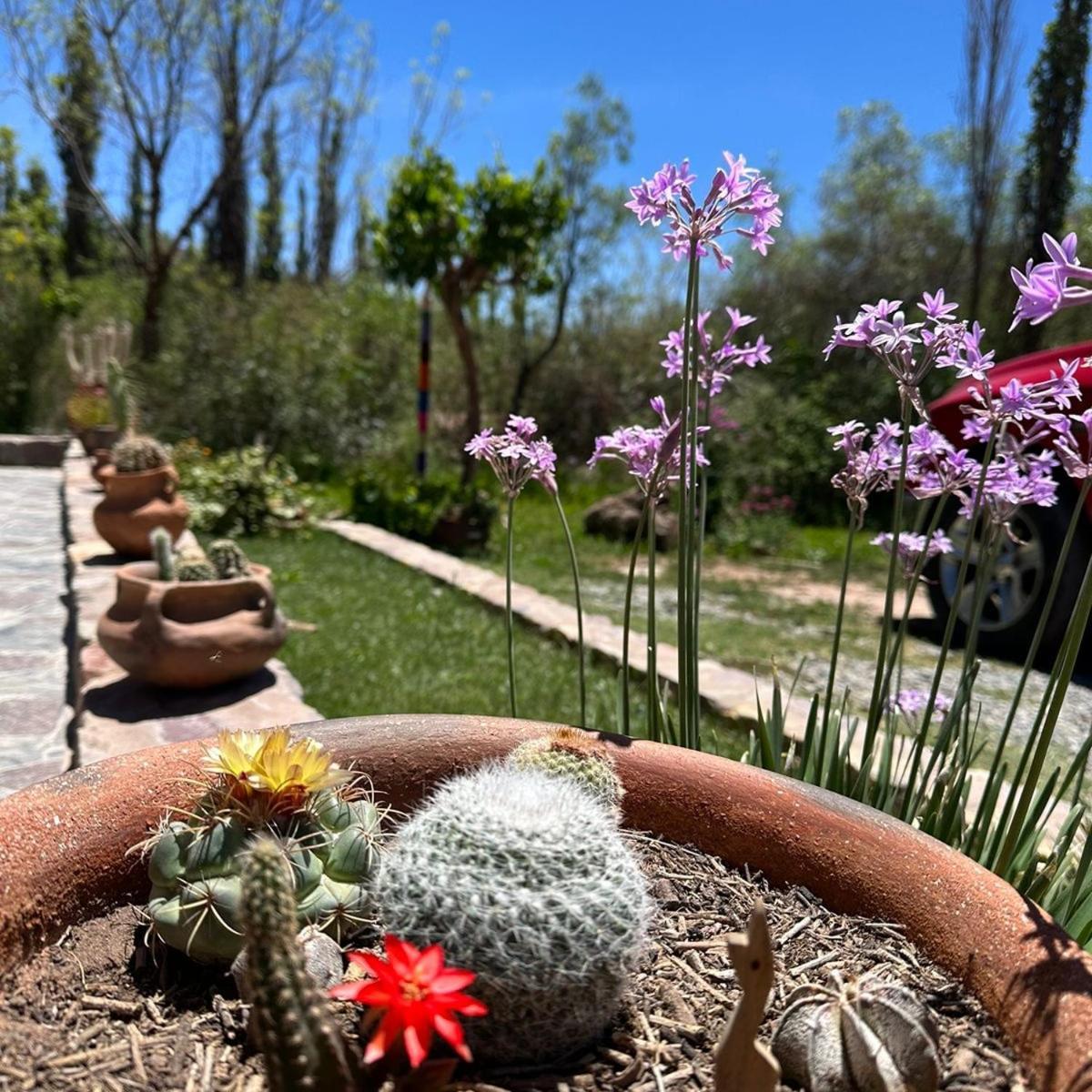 Tierra Primitiva Apartamento Tilcara Exterior foto