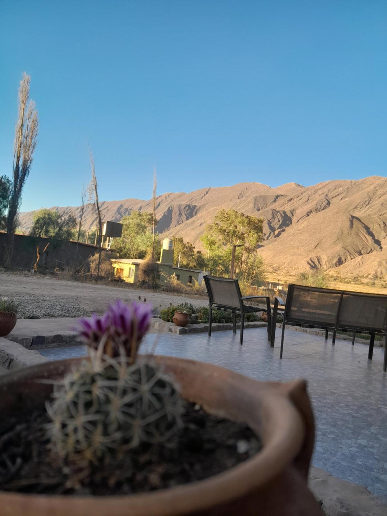Tierra Primitiva Apartamento Tilcara Exterior foto