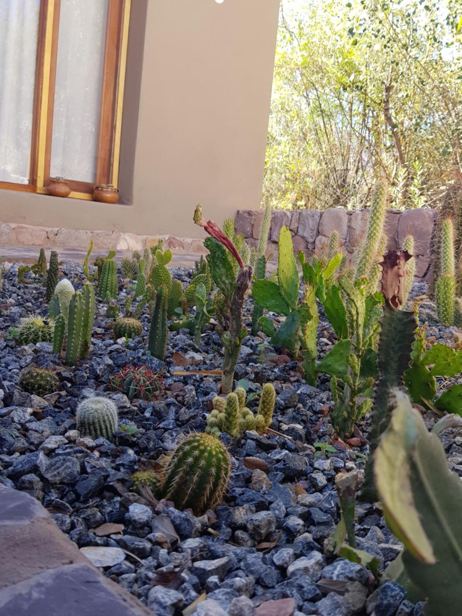 Tierra Primitiva Apartamento Tilcara Exterior foto