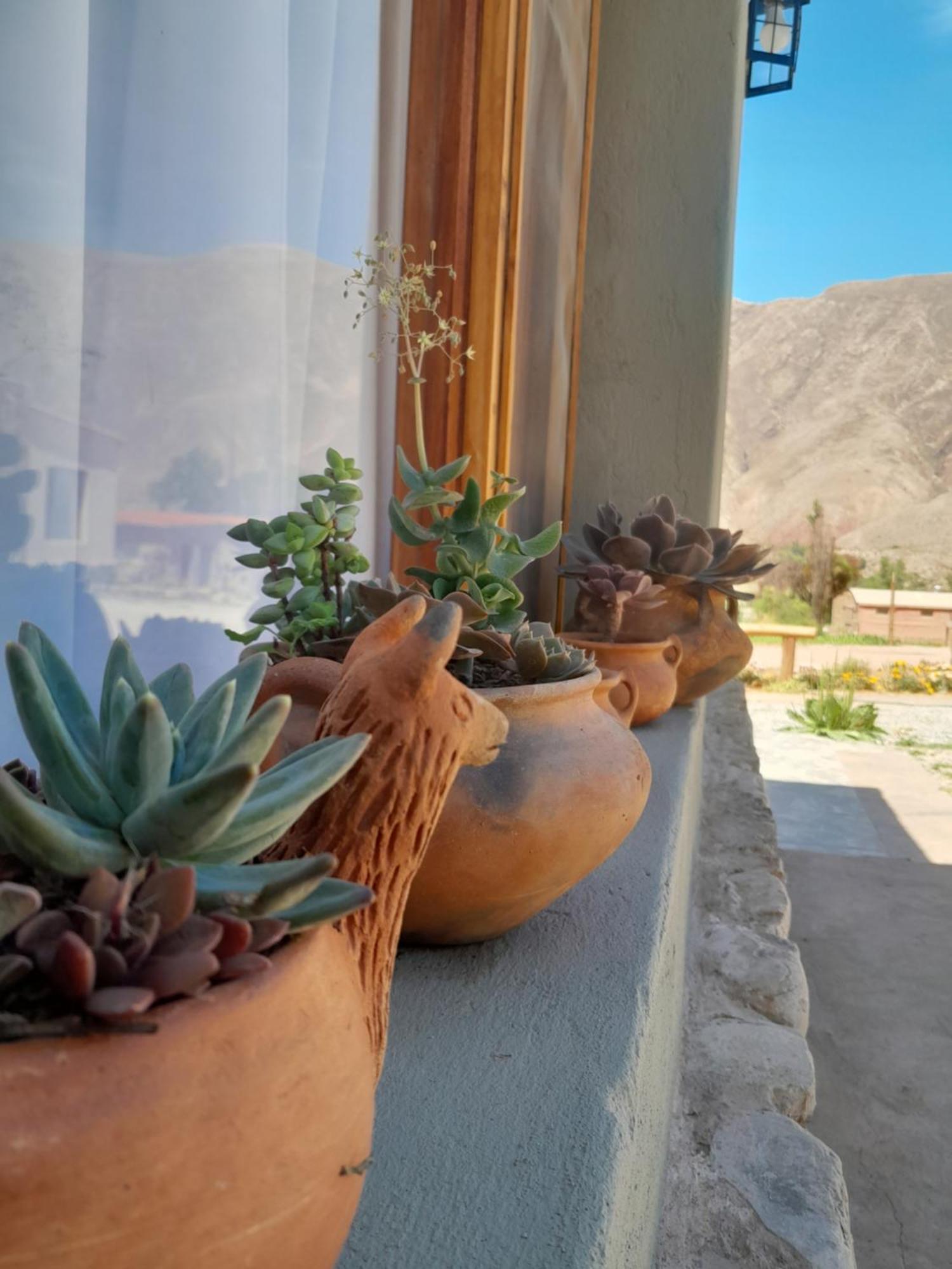 Tierra Primitiva Apartamento Tilcara Exterior foto