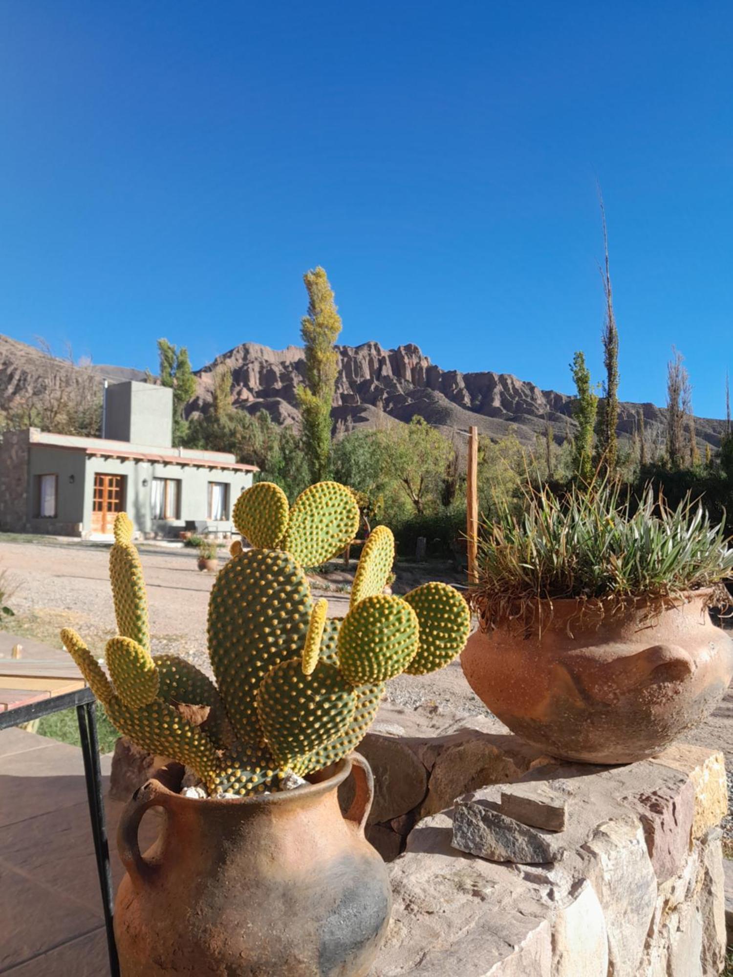 Tierra Primitiva Apartamento Tilcara Exterior foto